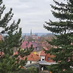 Baumhaus Und Tinyhaus *