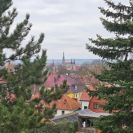 Baumhaus Und Tinyhaus