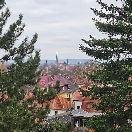 Baumhaus Und Tinyhaus *