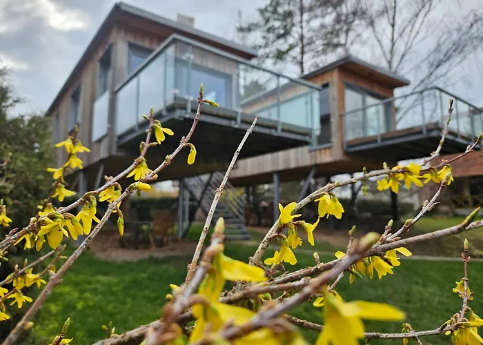 Baumhaus Und Tinyhaus * Mühlhausen