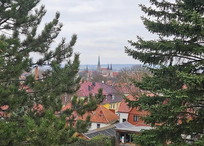 Baumhaus Und Tinyhaus