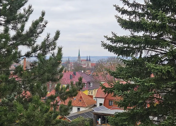 Baumhaus Und Tinyhaus *